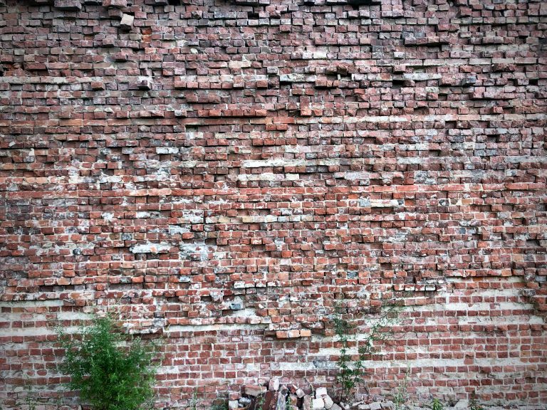 green plant near bricks wall